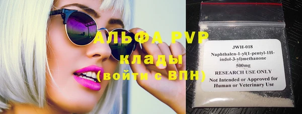 прущие грибы Нея