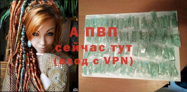 прущие грибы Нея