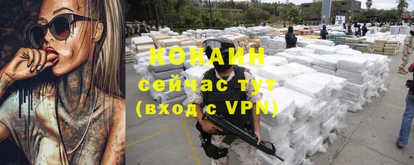 прущие грибы Нея