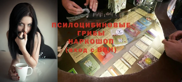 бошки Нефтегорск