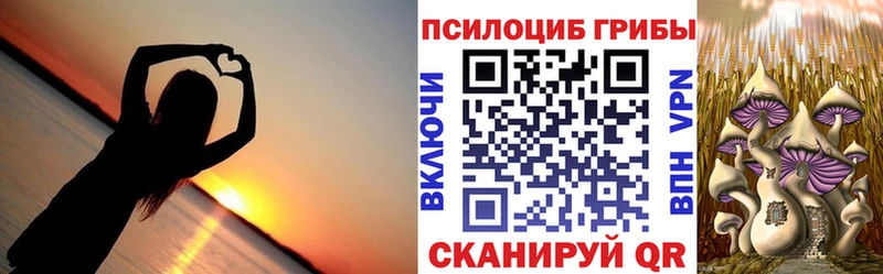 купить наркотик  Нальчик  Псилоцибиновые грибы Psilocybine cubensis 